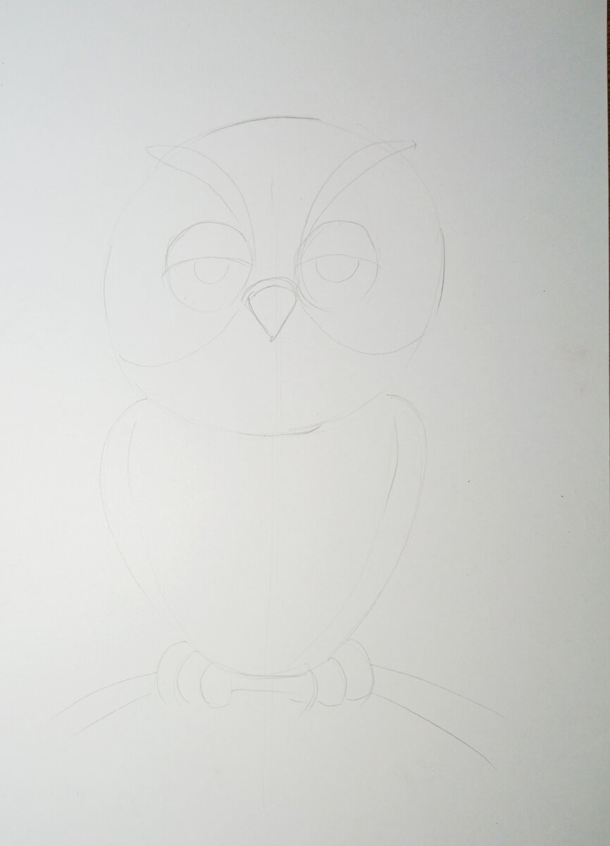 Добавляем детали; веки, зрачки, крылья и ветку на которой сидит сова. 