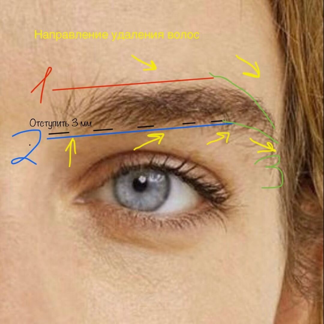 Направление роста волос на бровях