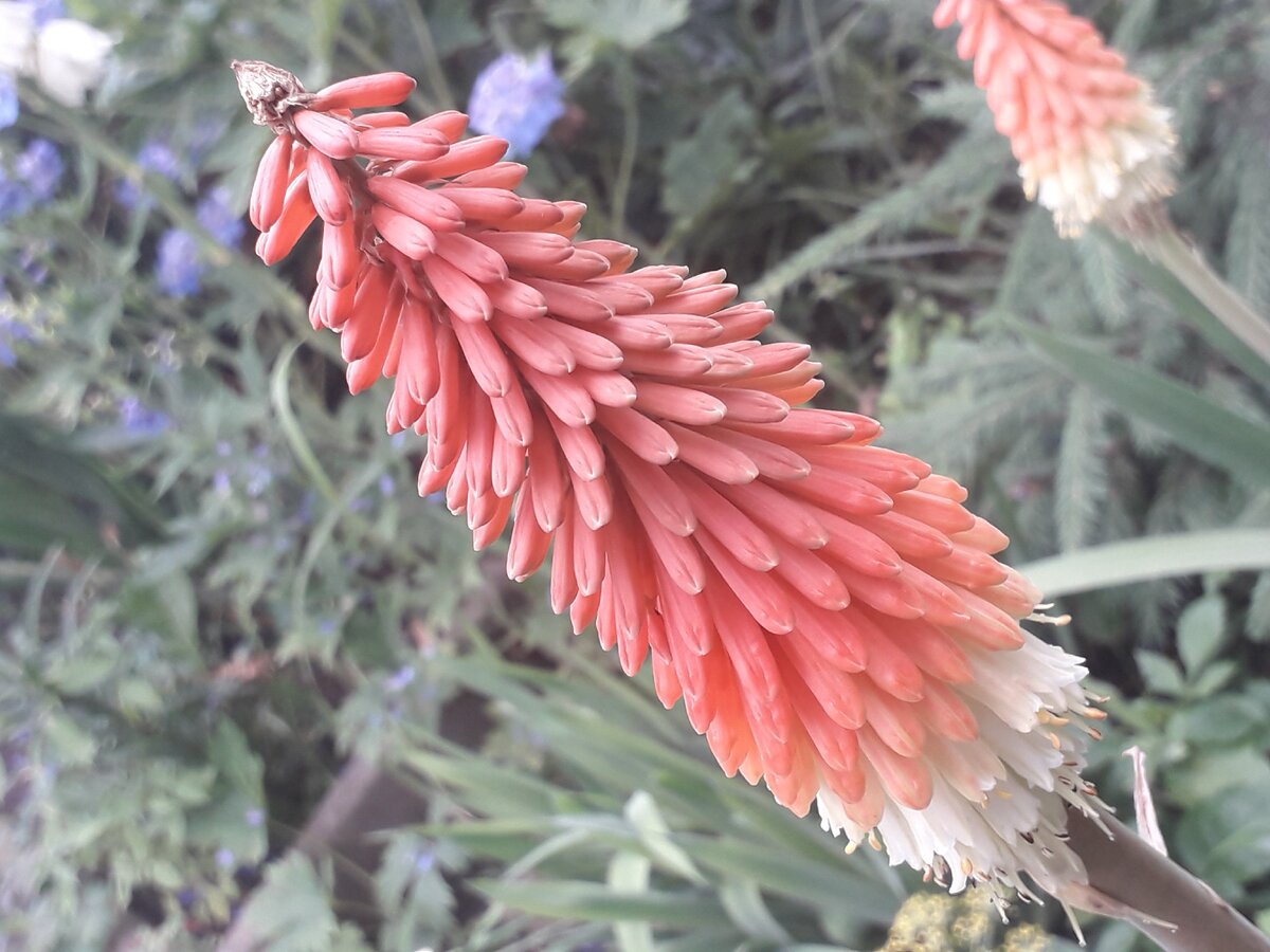 Фото из личного архива