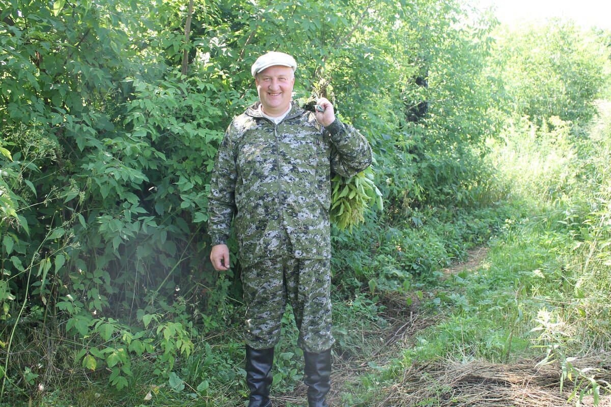 Собираем веники на зиму.