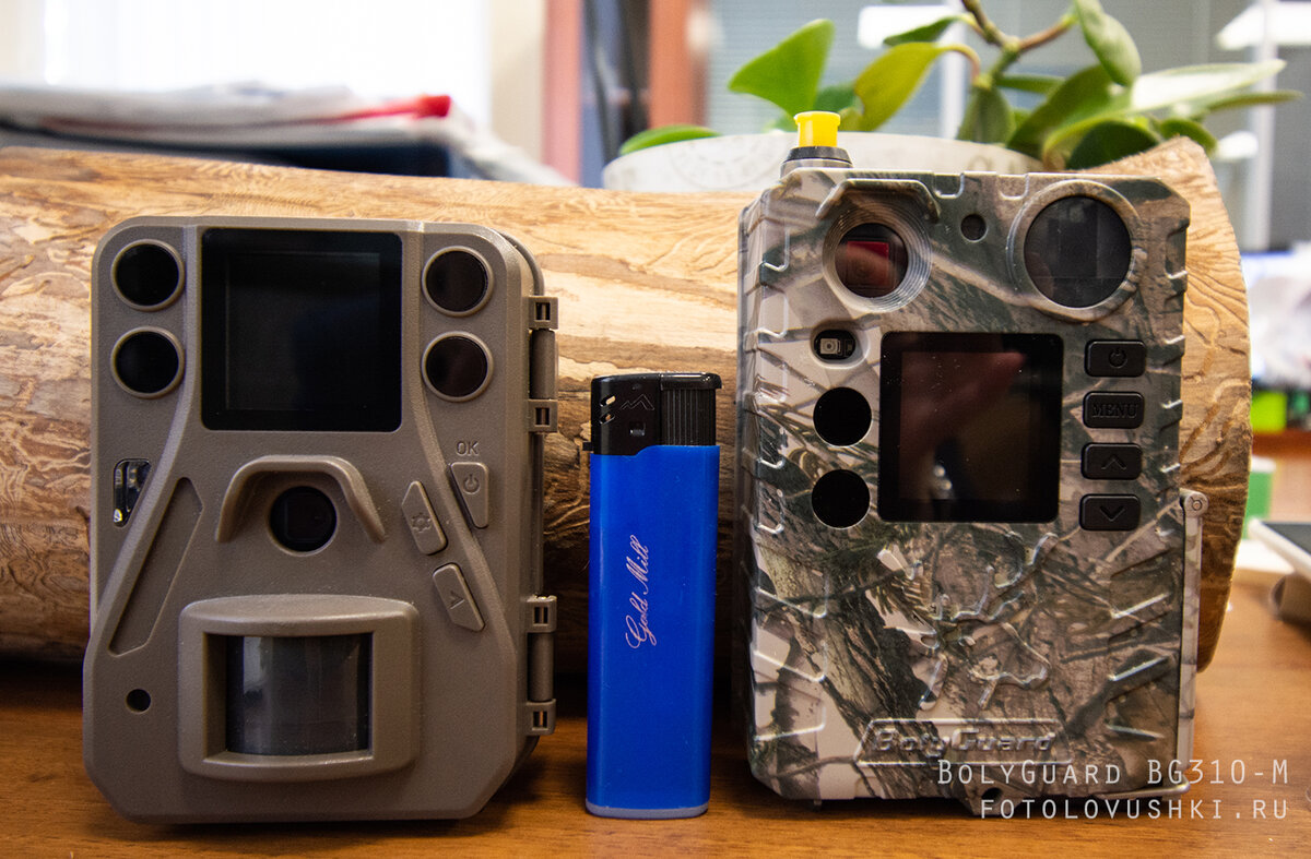 сравнение BG310-M и SG520