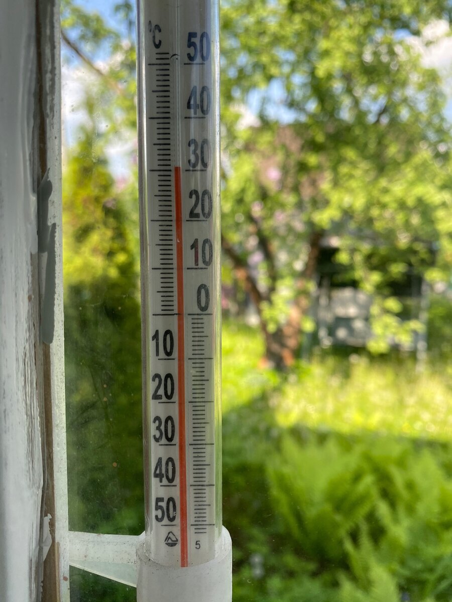 Жара в июне