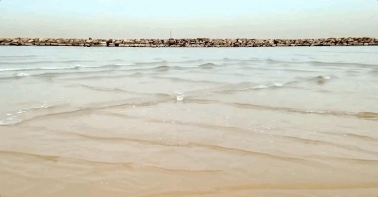 Источник фото: sciencealert.com