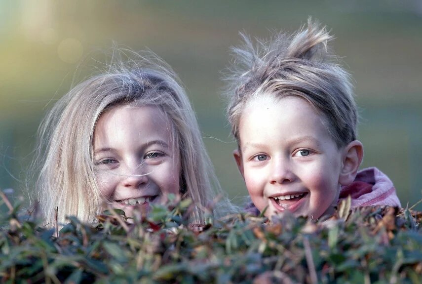 Фото: pixabay.com