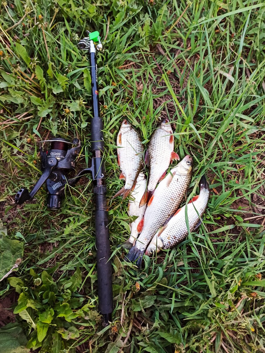 Всем удачного клева !!!