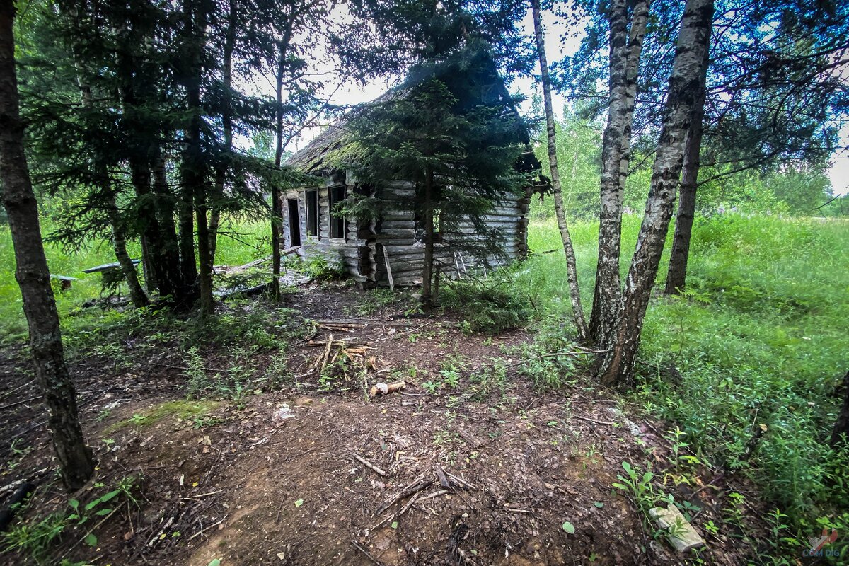 В лесу нашел одинокий заброшенный дом из сруба. Осмотрел и принял решение его восстановить