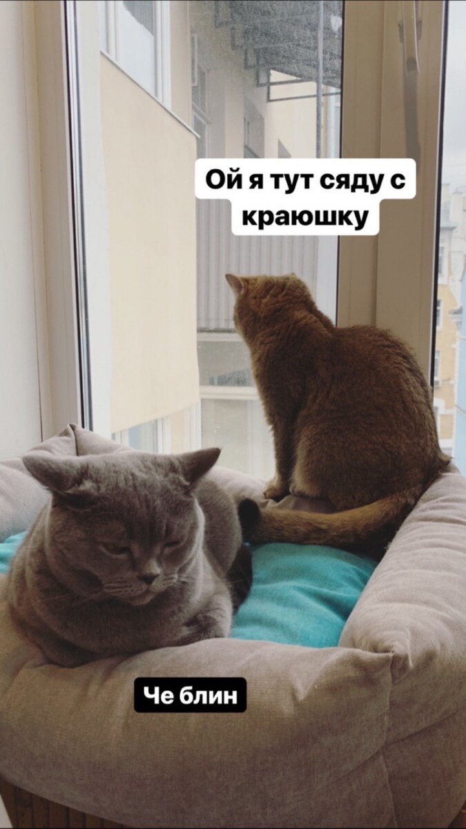 Этап первый: притворитесь, что вы тут просто мимо пробегаете 