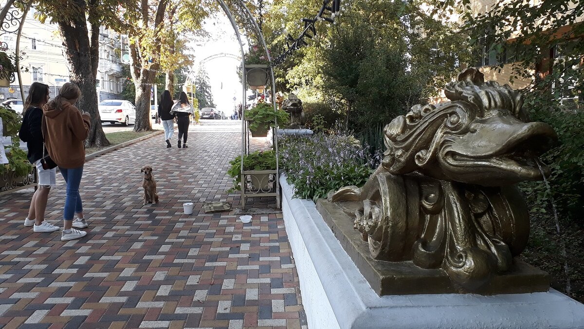 Фото автора