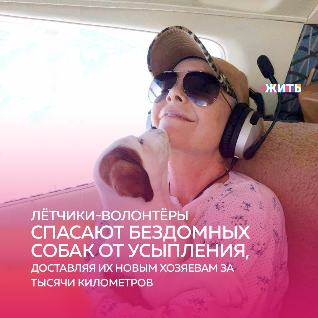5 декабря в России уже третий год подряд отмечается день волонтёра в России🙌 
И в этот день мы расскажем Вам об одних из этих людей - тех, кто помогает животным весьма необычным способом❤

Одна из самых больших проблем приютов для животных заключается в том, что в одних регионах слишком много бездомных собак, а в других живут их потенциальные хозяева. То есть, чтобы пристроить животных, надо решить вопрос с их транспортировкой, а это очень непростая задача🤔

На помощь приходят лётчики-волонтёры, которые спасают бездомных собак от усыпления, доставляя их новым хозяевам за тысячи километров☝

Эта организация состоит из пилотов-энтузиастов, которые взяли на себя миссию переправлять собак из приютов туда, где они могут обрести новый дом и любящих хозяев. Часто эти пилоты спасают животных, которых усыпили бы через несколько часов🙈

Организация спасла уже более 12 тысяч собак и кошек и планирует спасти еще больше💪

Это люди с добрейшей душой. Спасибо им за их благородные поступки🤗

#жить #проектжить #добро
