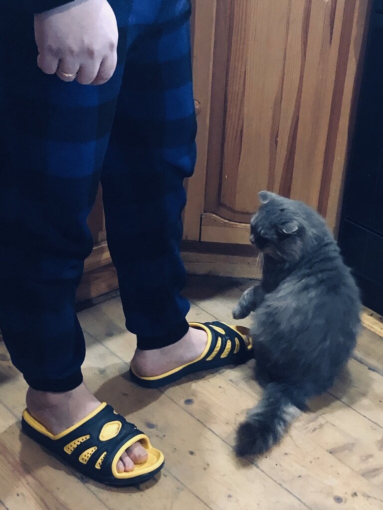 Филя так просит кушать. Везде фото автора. 