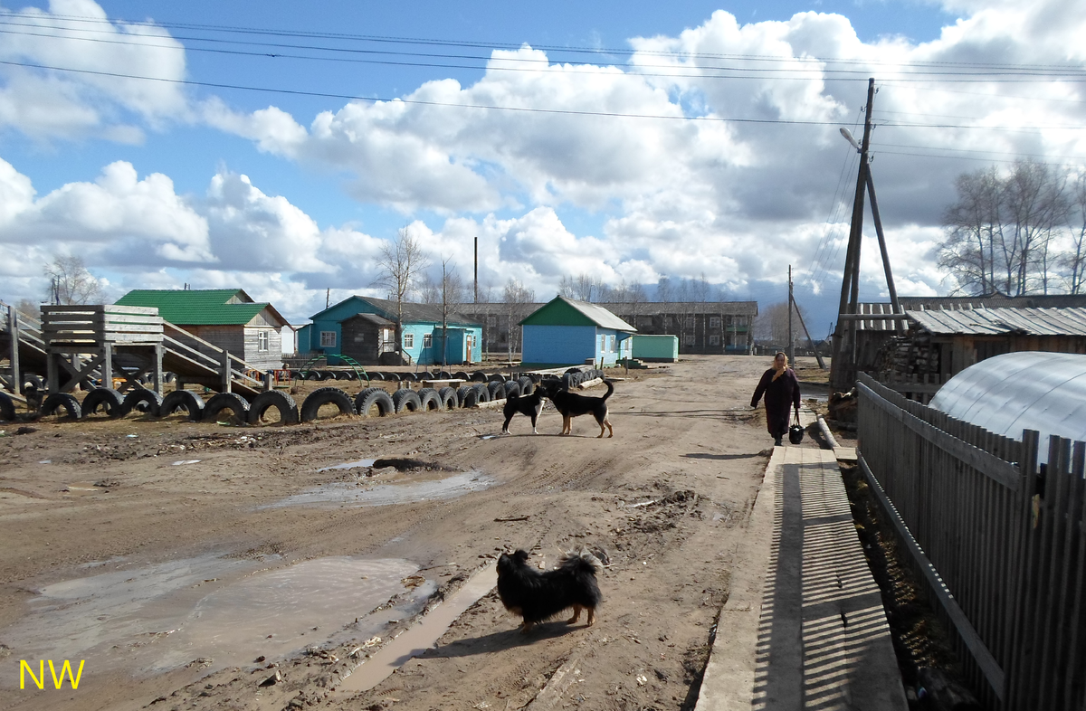 Спустя много десятков лет.