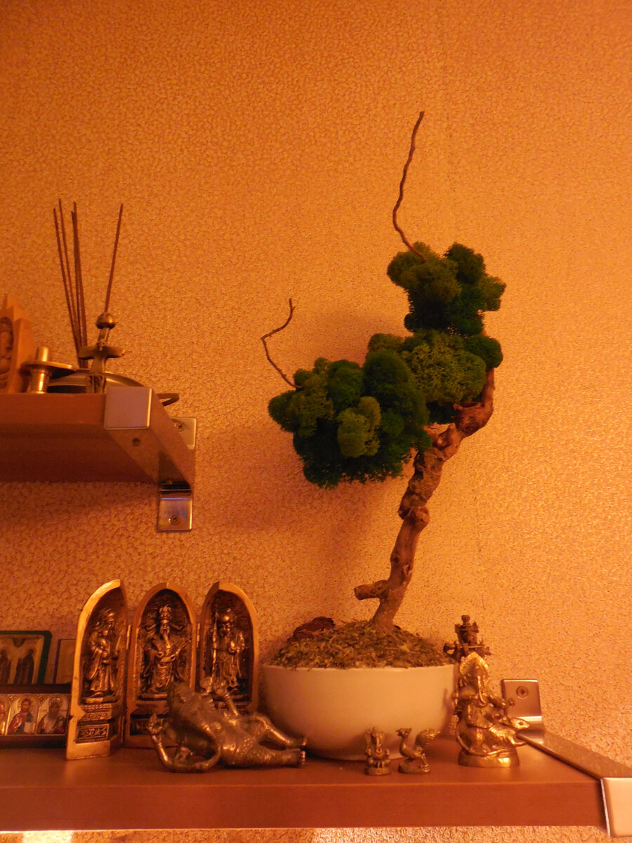 А это уже на постоянном месте