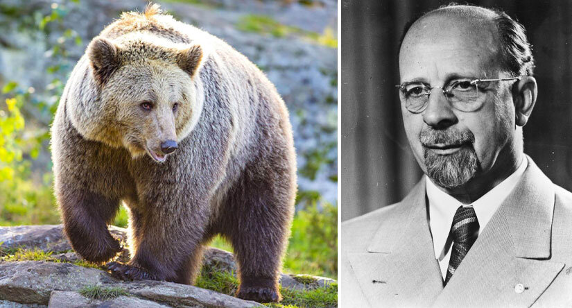 Подстрелить русского медведя у лидера ГДР не получилось