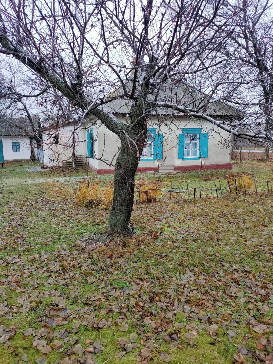 дом