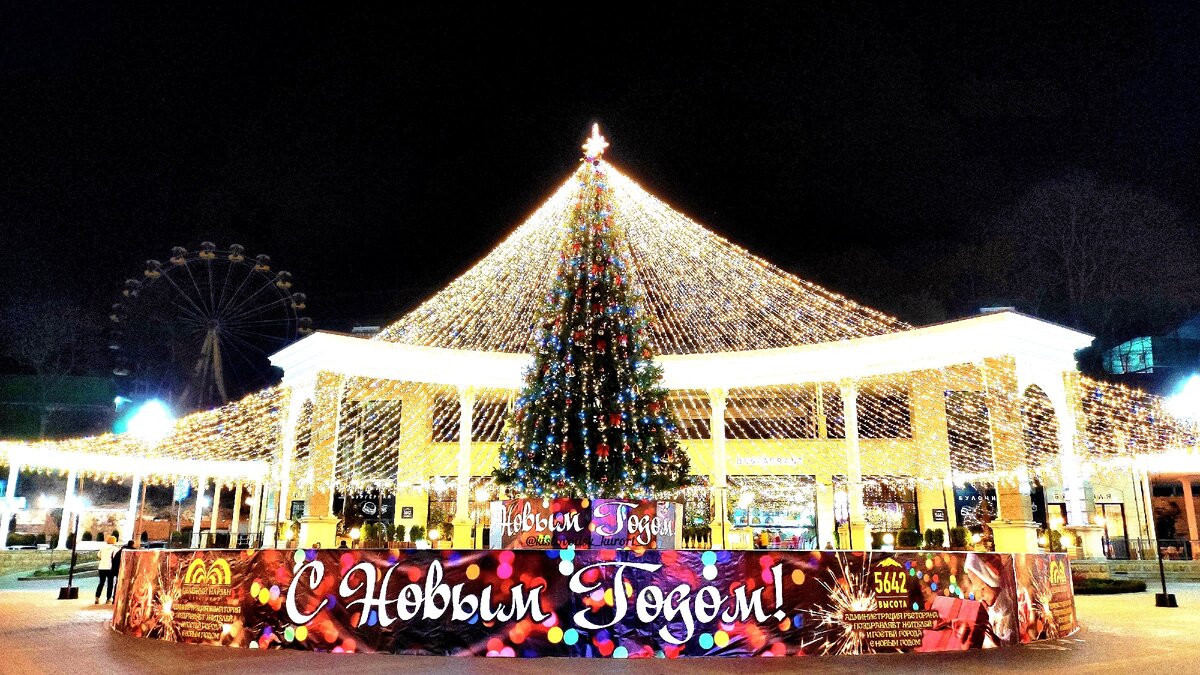 Пушистая красавица с потрясающим шлейфом, безусловно стала объектом народного любования и одним из основных мест для фотосессий.