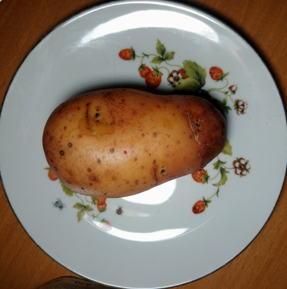 Так выглядела картофелина до начала игры, листайте