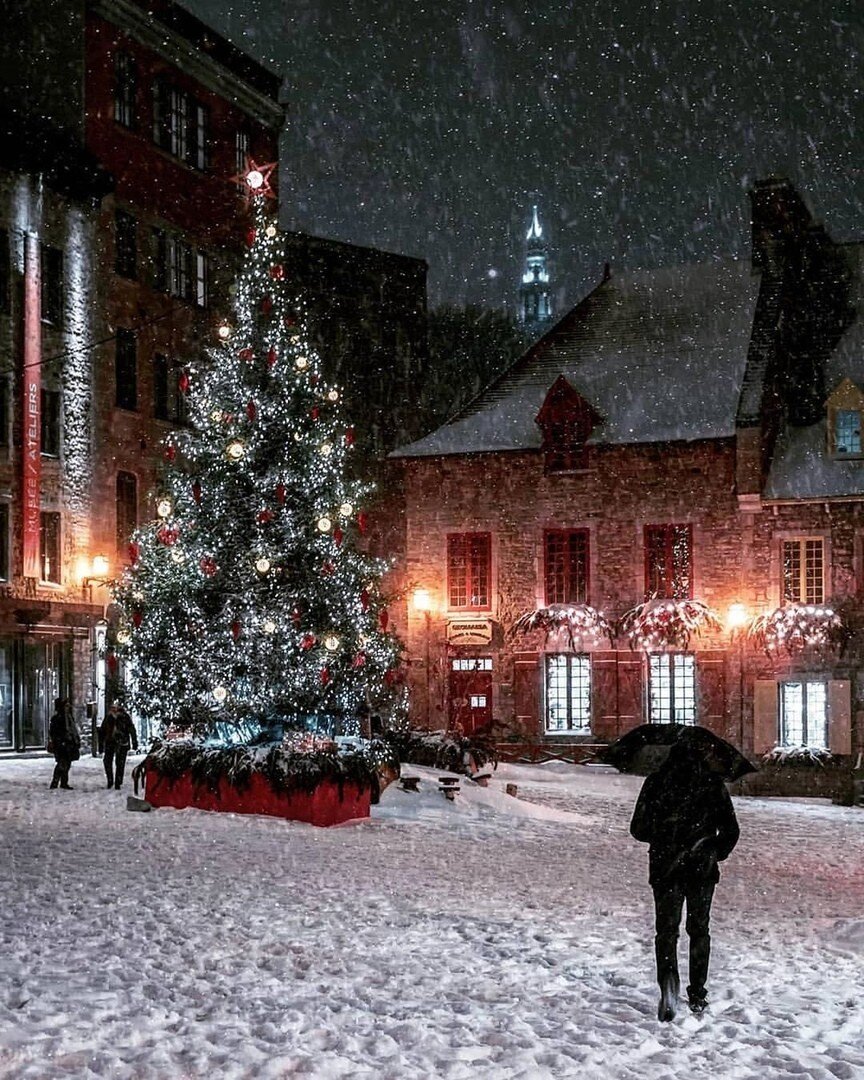 картинка из личного архива