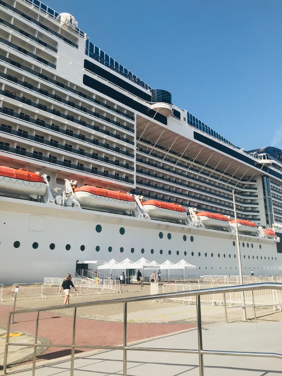 Лайнер в длину составляет 315 метров, способен выдержать груз размером в 167 тыс. тонн. На борту имеется 2217 кают, где размещаются 5 700 пассажиров. В ширину корабль составляет 43 метра. Состоит из 14 пассажирских палуб. Команда экипажа насчитывает 1540 человек.