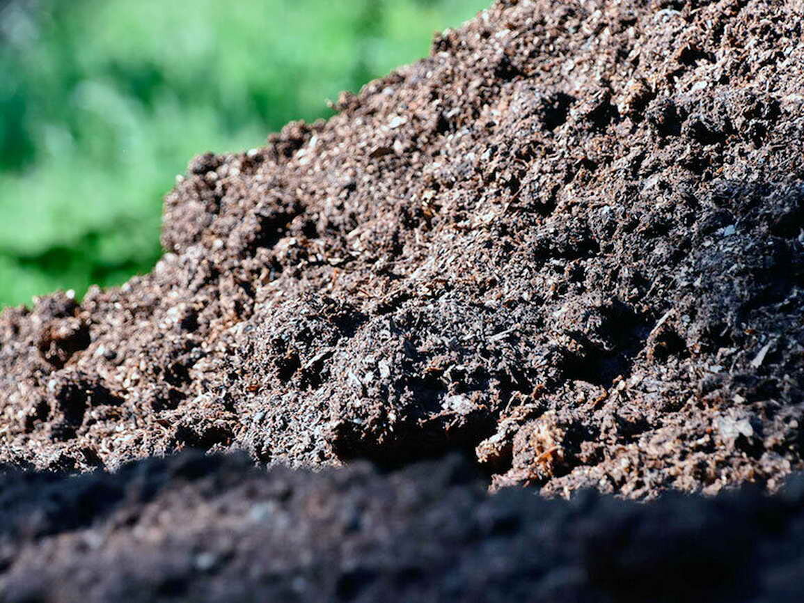 Гумус из куриной подстилки обогатит землю в огороде