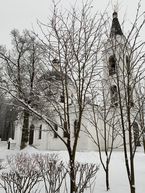 Фото автора.