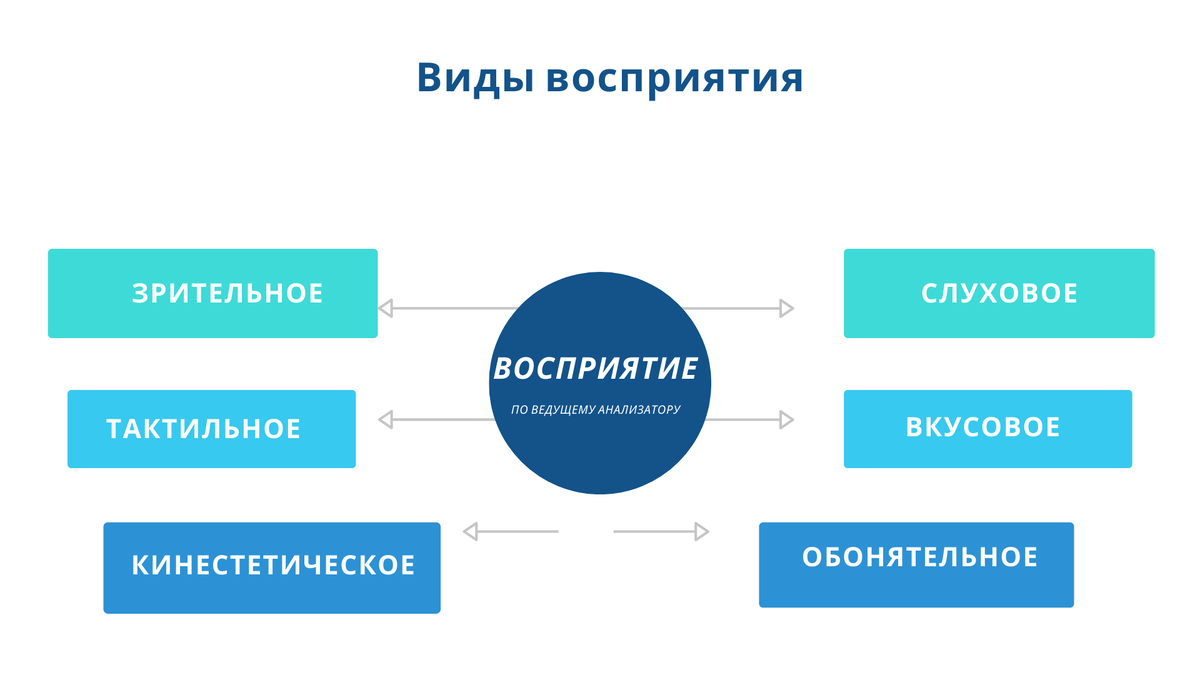 Развитие познавательных процессов. Восприятие. | Уроки Карапули | Дзен