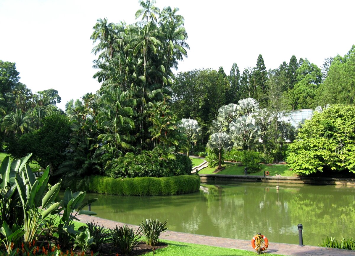 Ботанический сад в сингапуре