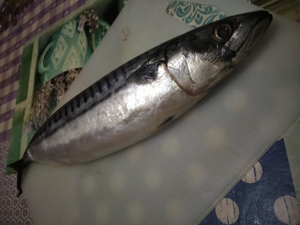 имя ее - Скорость