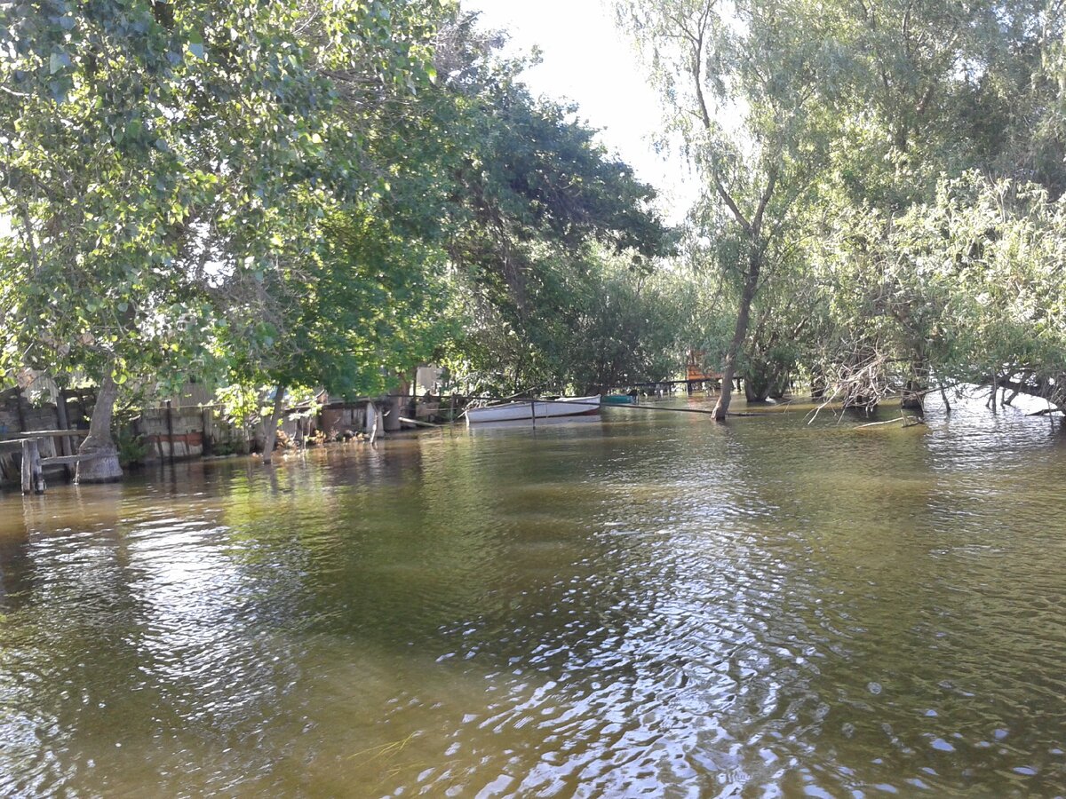 Паводок на реке Кизань в Камызякском районе Астраханской области.