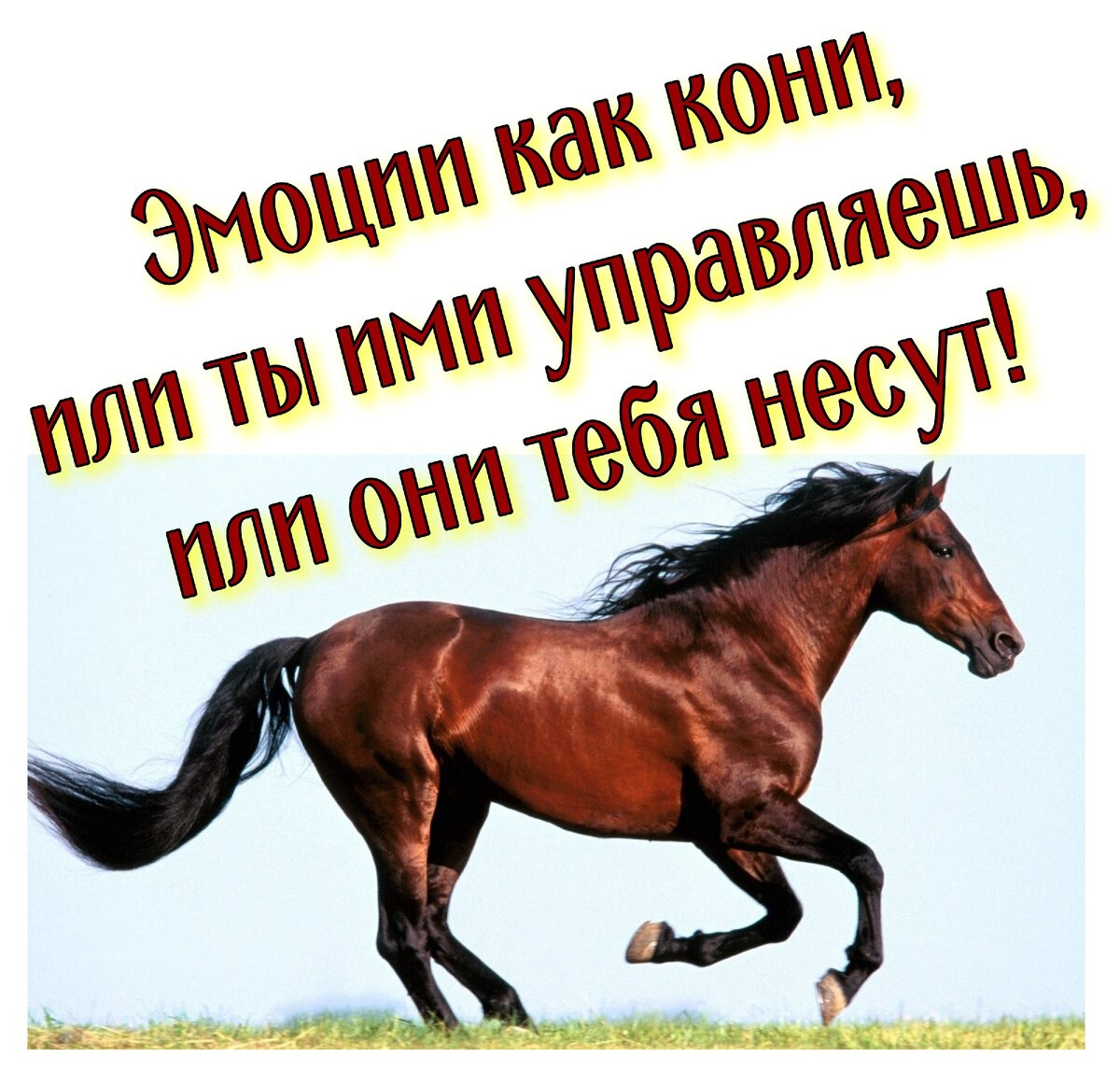 Картинка в статье, коллаж моего авторства созданный из картинок в свободном доступе в интернете