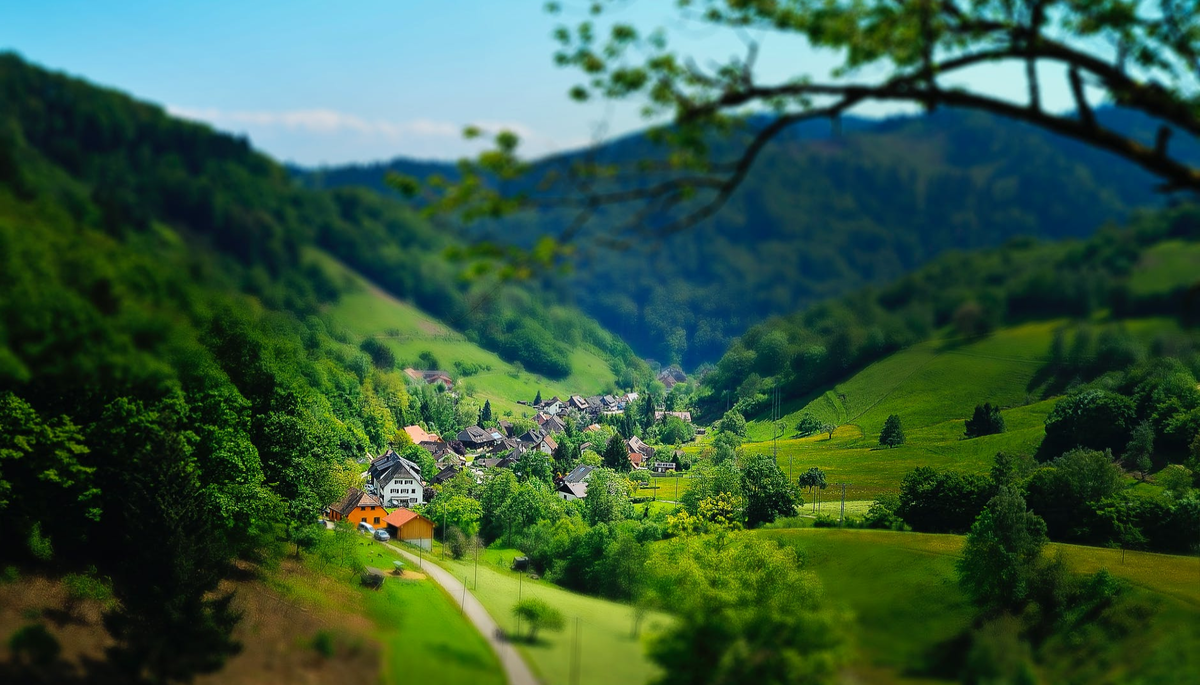 Изображение с сайта https://www.pexels.com/