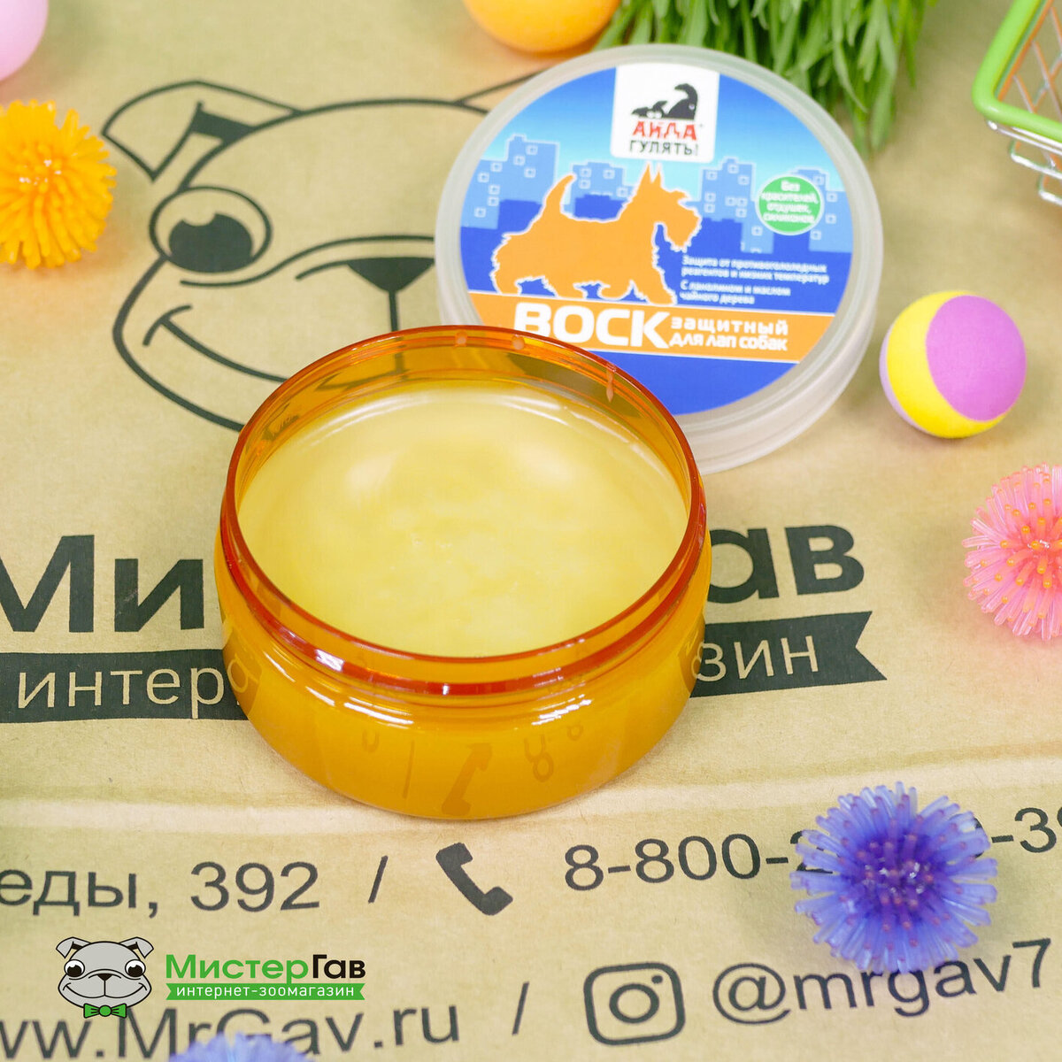 Фото интернет-магазина Мистер Гав. Мопс Боба