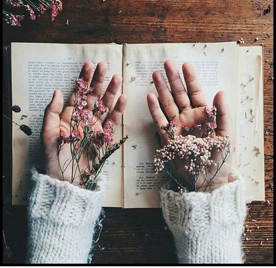 Источник - https://i.pinimg.com/564x/b5/a9/b6/b5a9b6aaa3f5139bf20715aabf3d6c0f.jpg