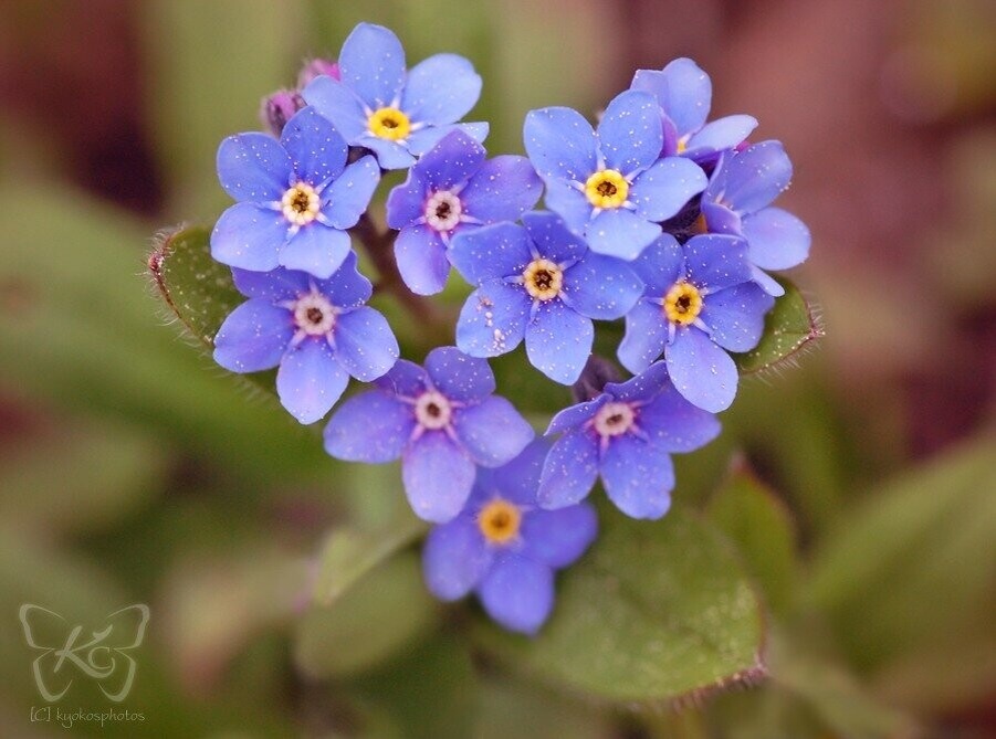 фото из инета