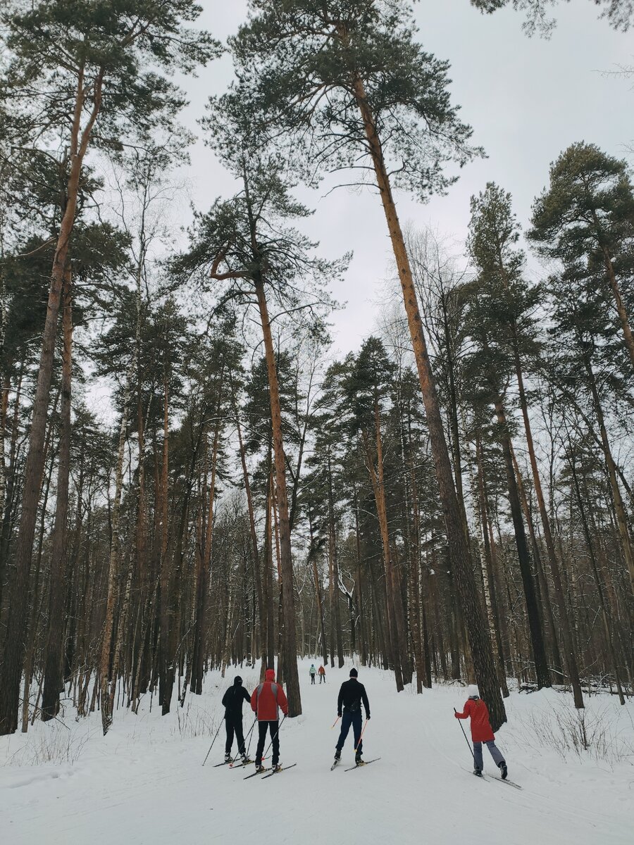 sneg.today (снег тудей) - информация о состоянии лыжных трасс Москвы и других го