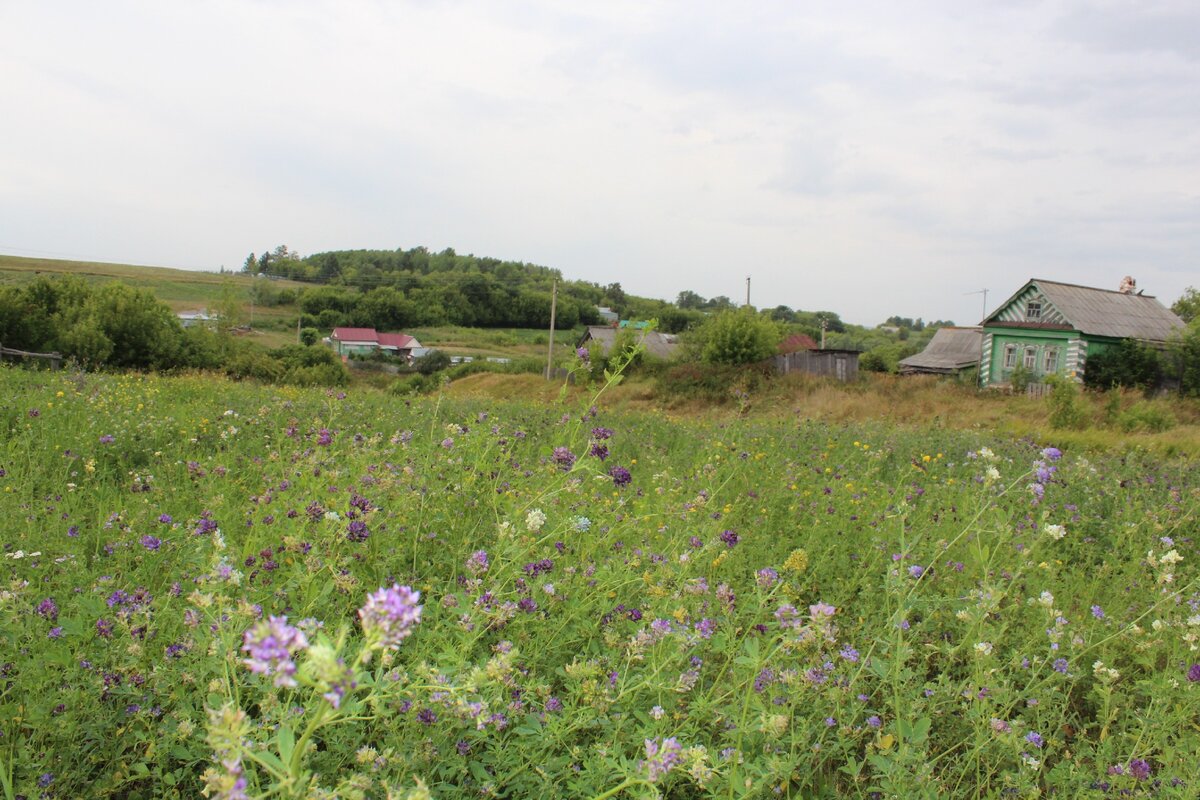 Татарская деревня в Арском районе Татарстана. Фото мое.