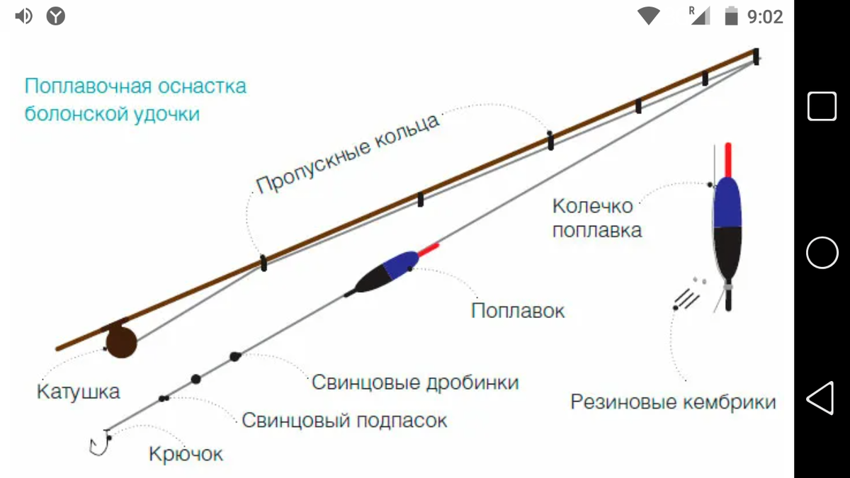 Схема снасти на карася