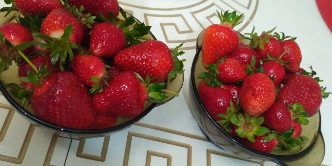 Кто сказал, что воткни палку в землю и она будет расти