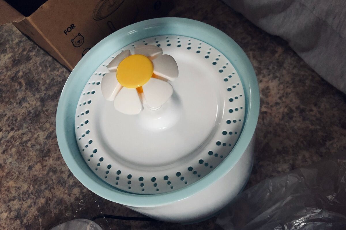 Тот самый фонтанчик. 