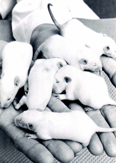 Photo by «FDA Consumer» 1979