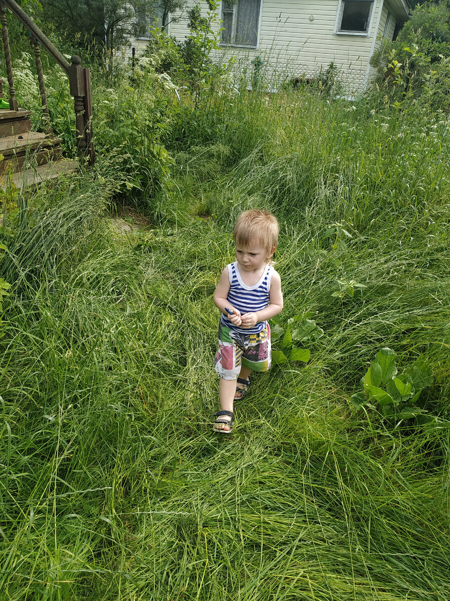 Местный рэкет.