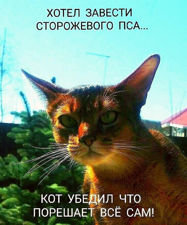 иллюстрация из яндекс картинки