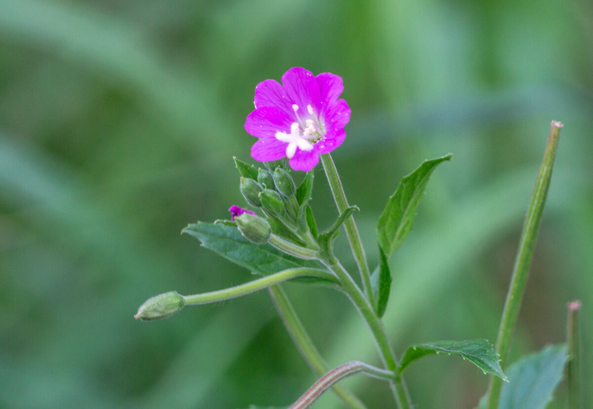 Все фото из семейного архива