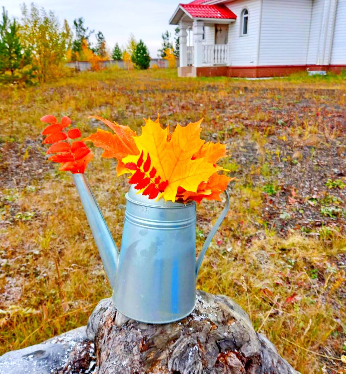 Лейка Соккер. Фото автора.