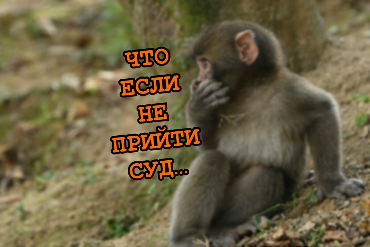 Картинка автора блога Anton ProDolgi