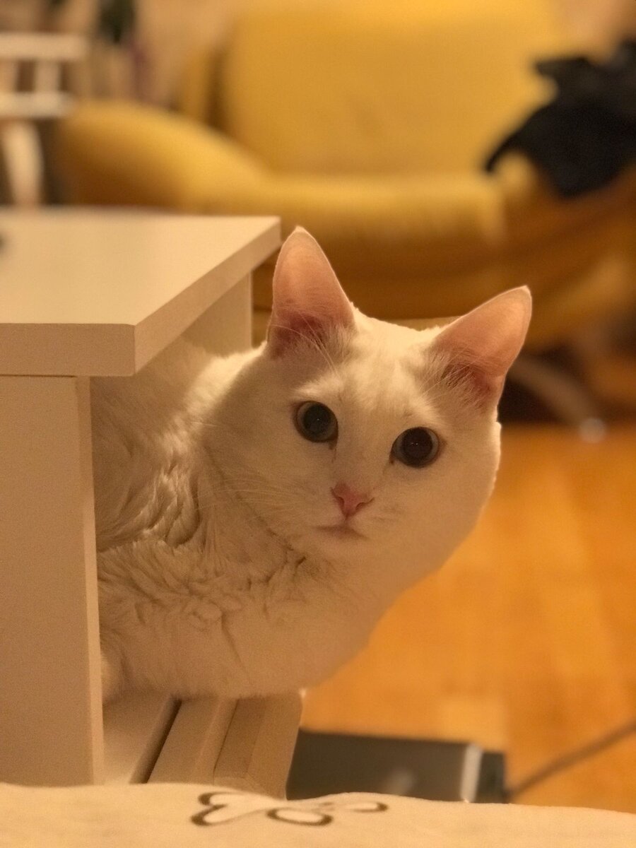 Кто вы? Я не узнаю вас в гриме!