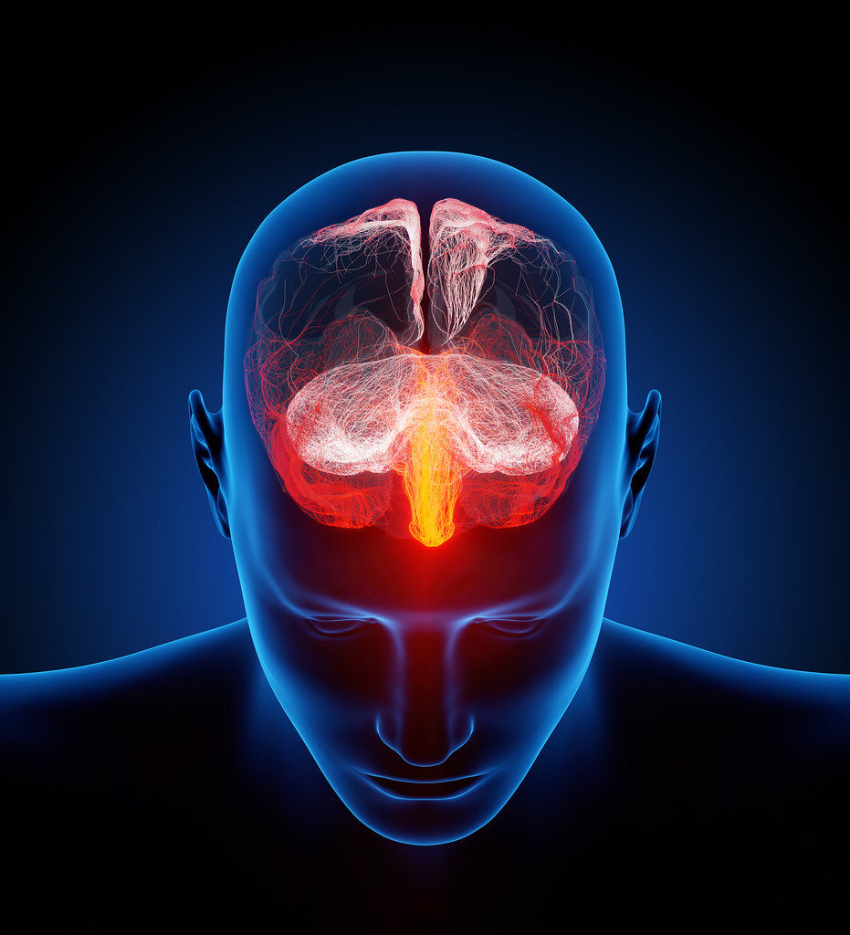 "Human brain illustrated with millions of small nerves" by Ars Electronica is licensed with CC BY-NC-ND 2.0. https://creativecommons.org/licenses/by-nc-nd/2.0/