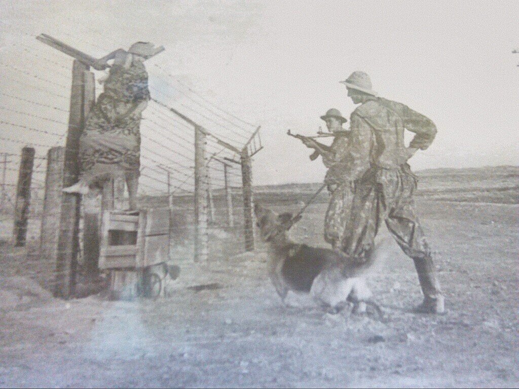 Задержание нарушителя Государственной границы советским пограничниками