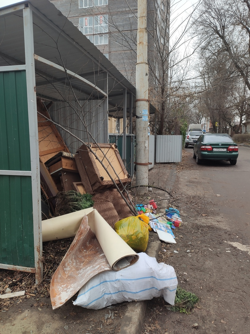 Фото Ольга (экологист), Пролетарский район