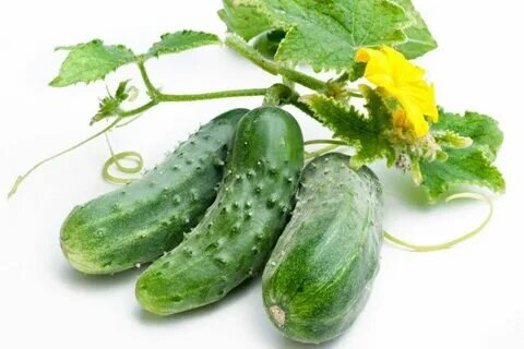 ОГУРЕЦ.  На 100грам огурца 15 калории 