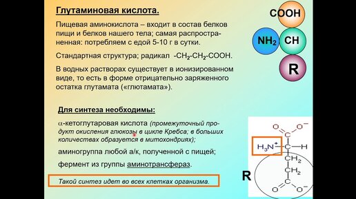 Дубынин В. А. - Химия мозга - Глутаминовая кислота и ГАМК